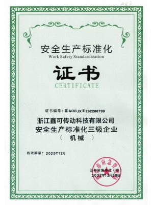 20221229效期2025年12月安標化三級證書